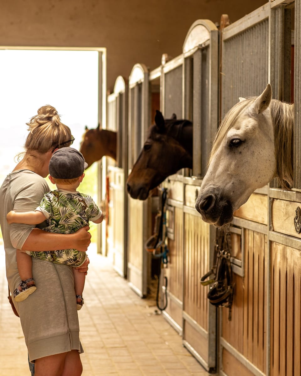 Horseback riding