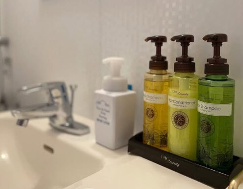 Combined shower/tub, free toiletries, hair dryer, slippers