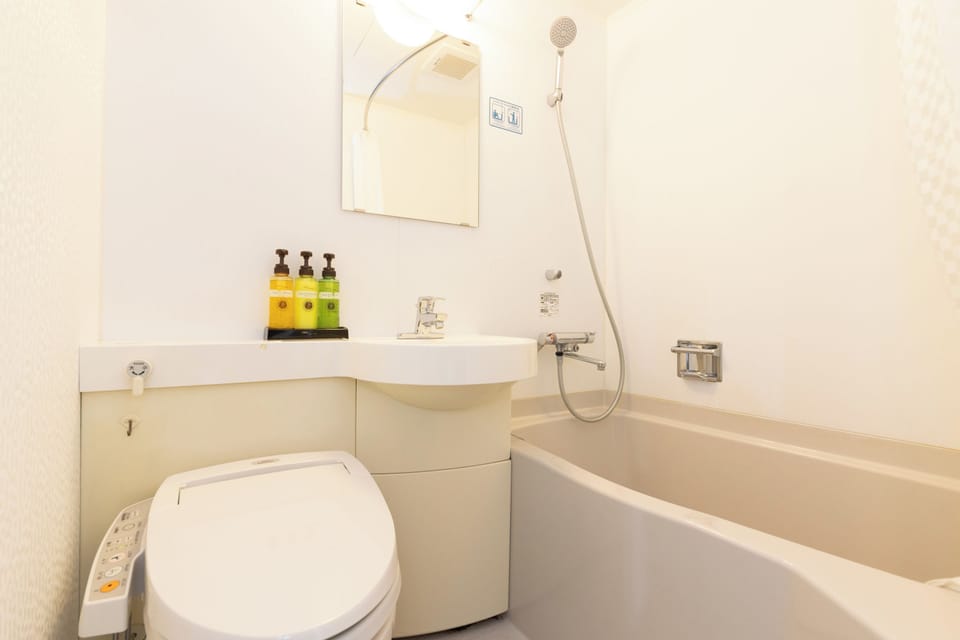 Combined shower/tub, free toiletries, hair dryer, slippers
