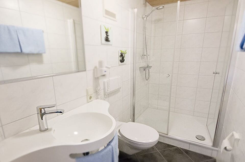 Single Room | Bathroom | Hair dryer, towels