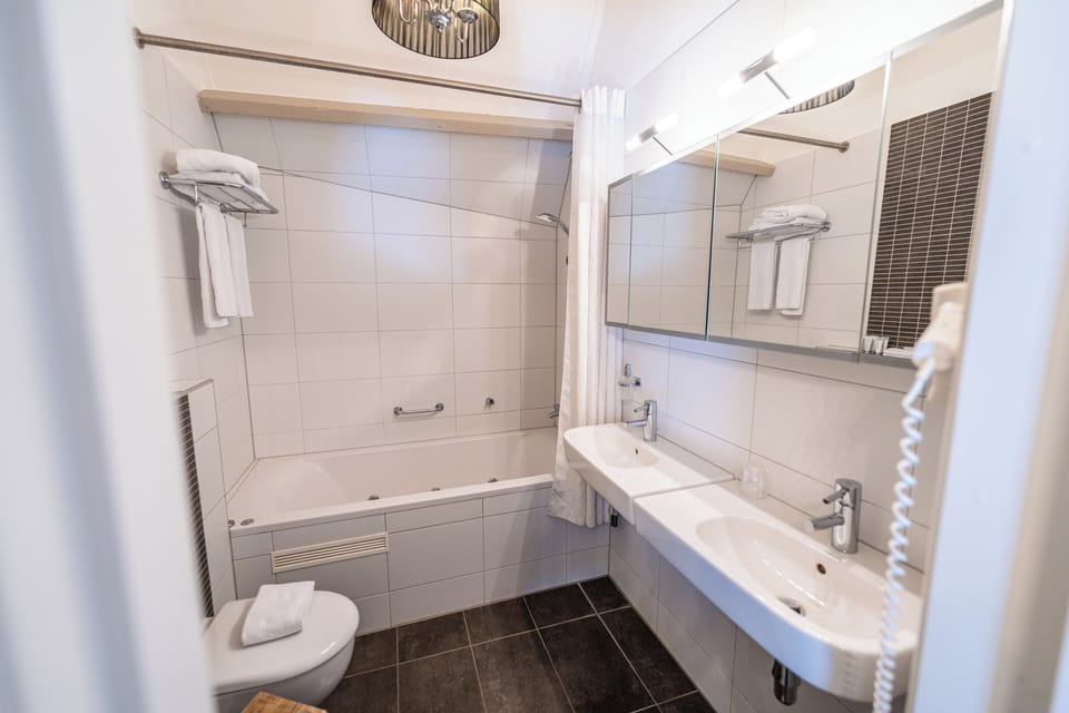 Suite | Bathroom | Free toiletries, hair dryer, towels