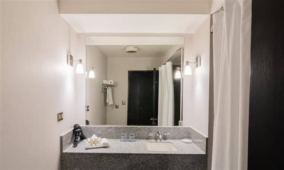 Traditional Room, 1 King Bed | Bathroom | Combined shower/tub, free toiletries, hair dryer, towels