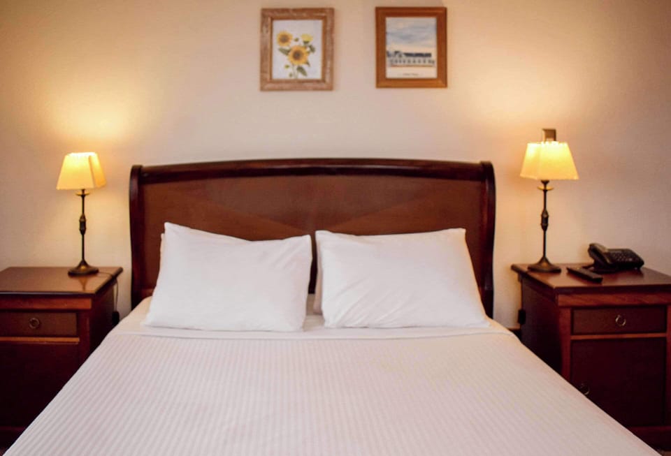 Room, 1 Queen Bed, Non Smoking | Minibar, in-room safe, free WiFi, bed sheets