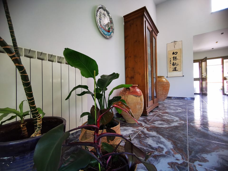 Plasma TV, fireplace, DVD player