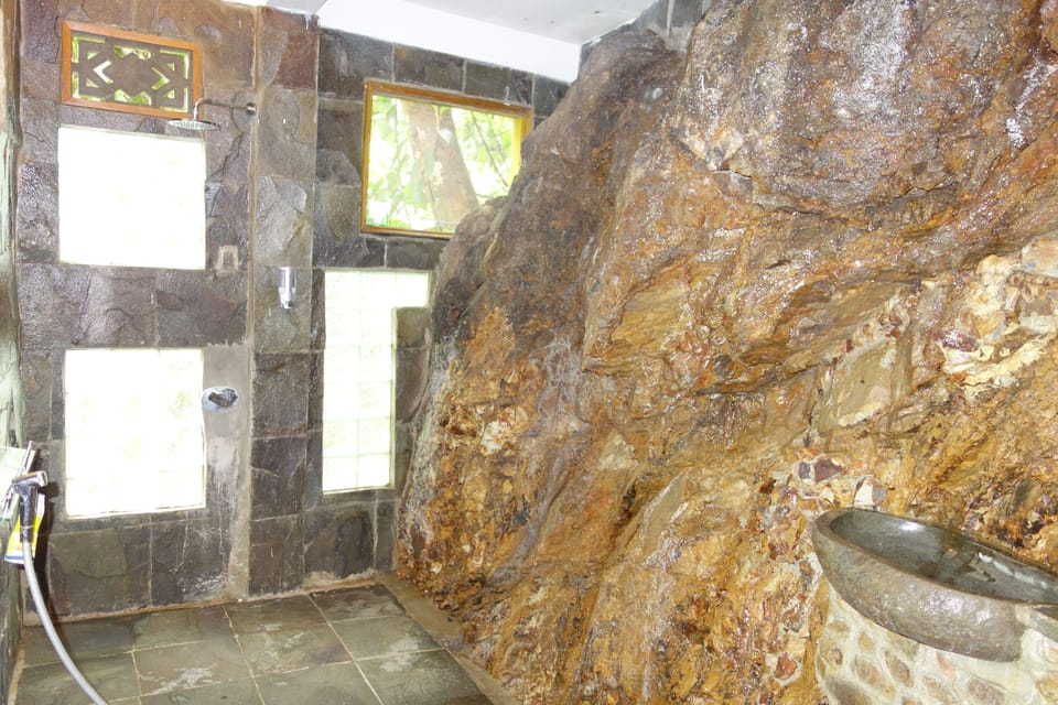 Standard Double Room, 1 King Bed with Sofa bed, Non Smoking | Bathroom | Shower, soap, toilet paper
