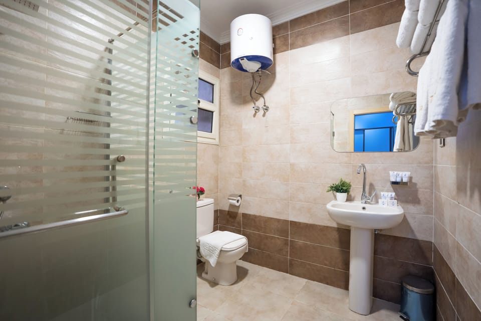 Deluxe Twin Room | Bathroom | Shower, free toiletries, hair dryer, towels