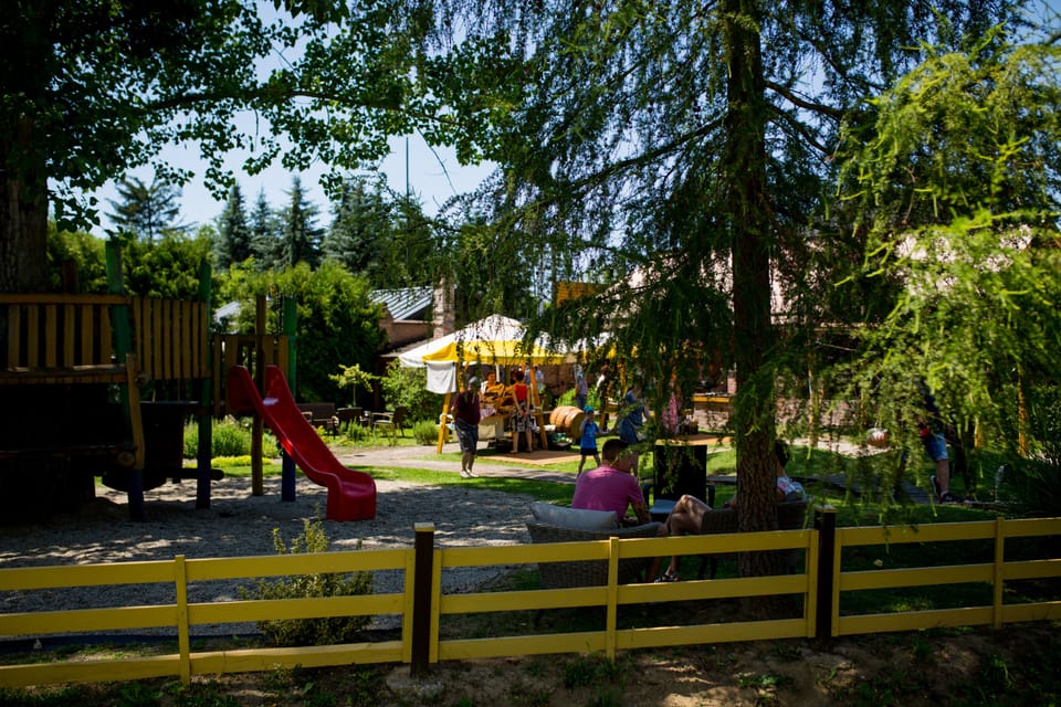 Vineyard Inn Hotel in Hungary