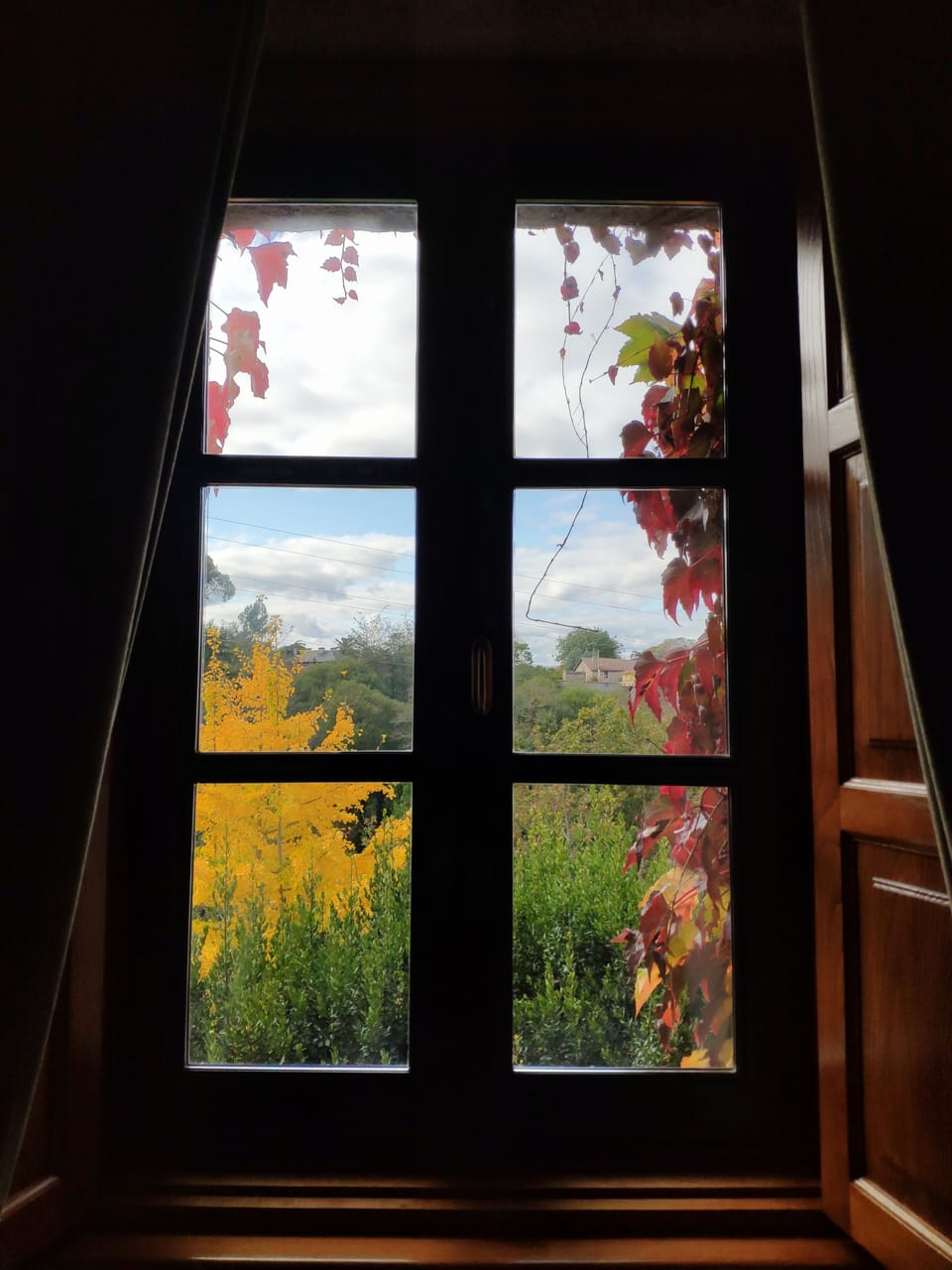 View from room