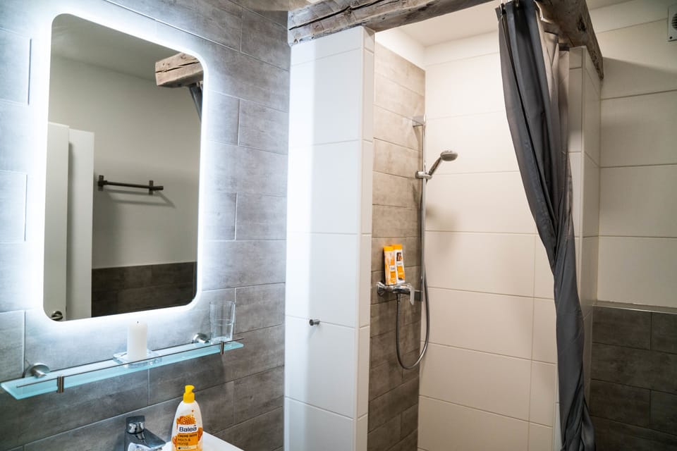 Deluxe Double Room, 1 King Bed (Beige/Grey Nr 7) | Bathroom | Shower, hair dryer, slippers, soap