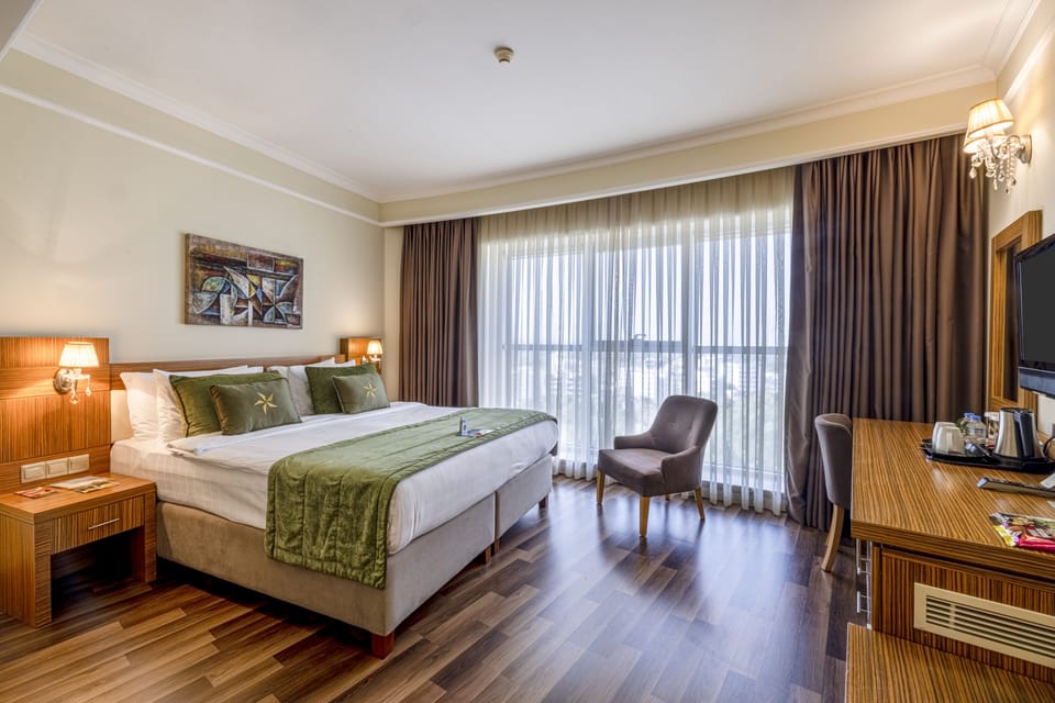 Standard Double Room Single Use | Minibar, in-room safe, blackout drapes, WiFi (free)
