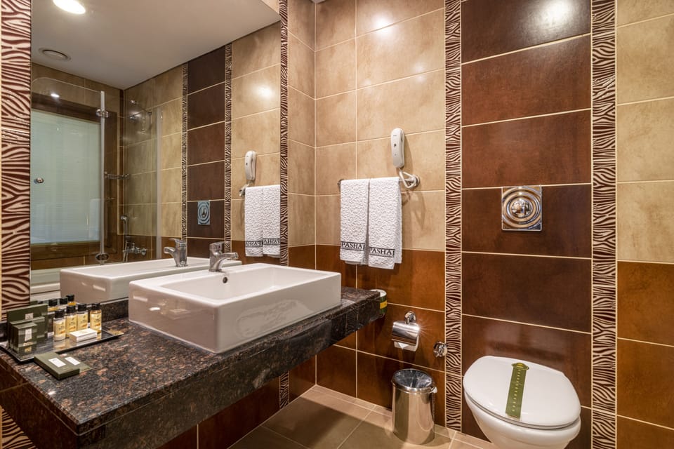 Standard Double Room Single Use | Bathroom sink