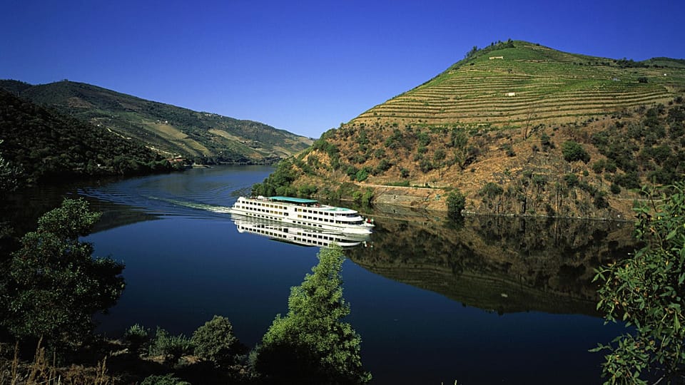 The Rex Hotel Porto - Mansion House - Private Parking Hotel in Porto