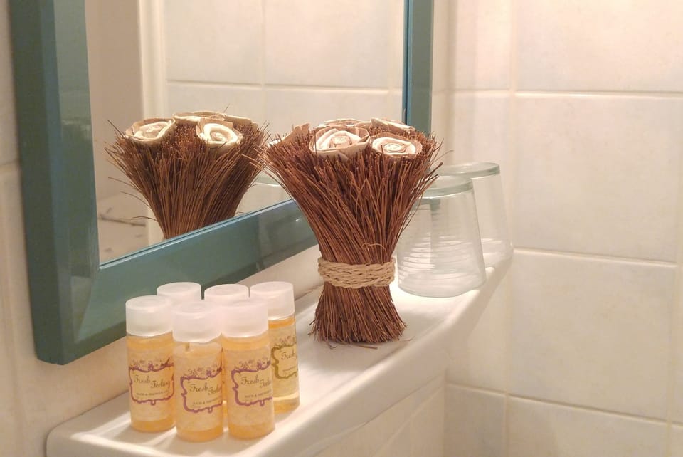 Shower, free toiletries, hair dryer, towels