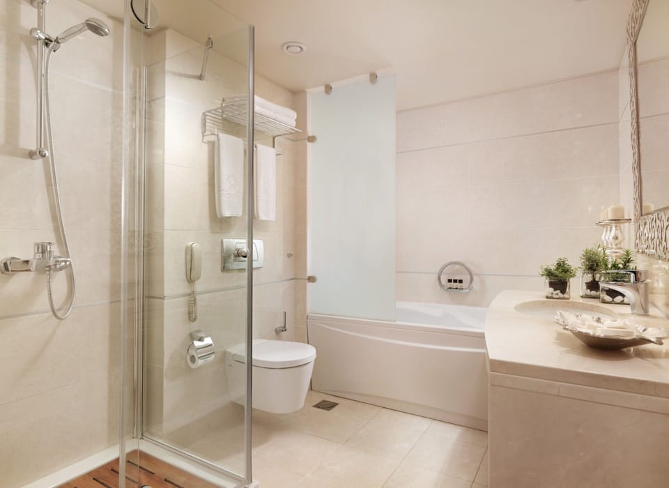 Bathtub, free toiletries, hair dryer, towels
