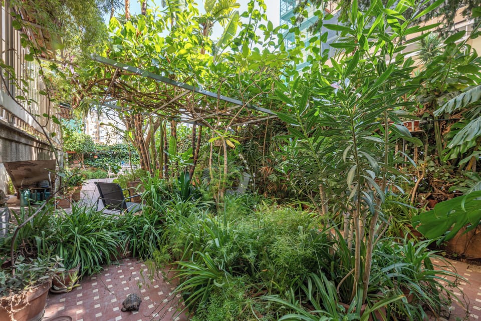 Apartment, 3 Bedrooms | Terrace/patio
