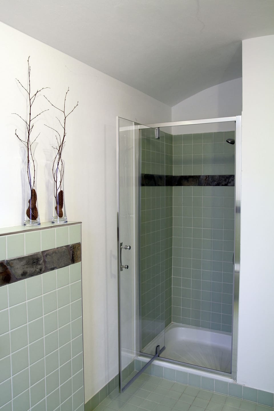 Apartment, Kitchenette | Bathroom shower