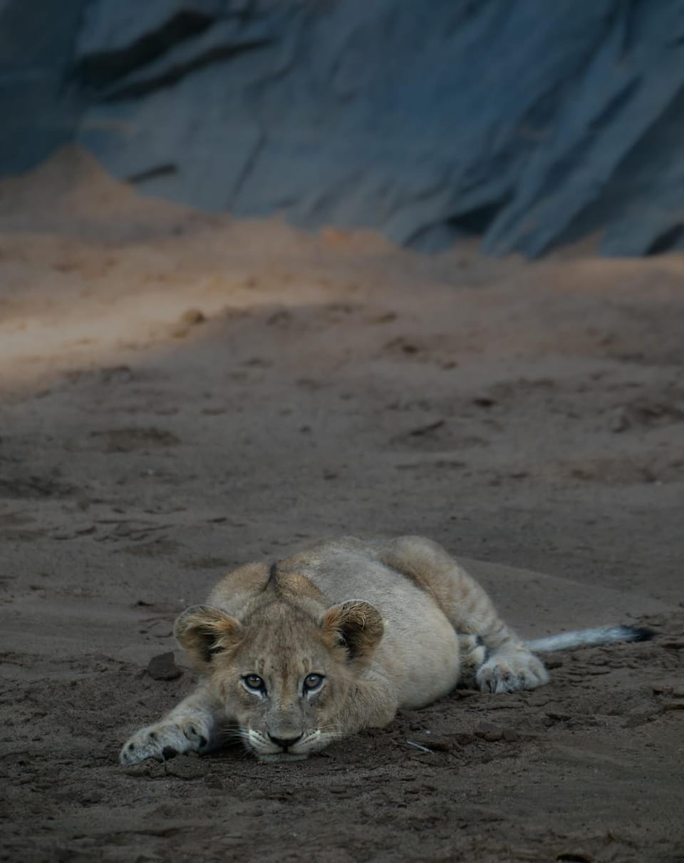 Game viewing