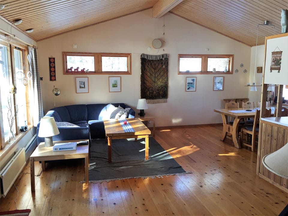 Family House, 3 Bedrooms, Non Smoking, Sauna | Living room | 55-inch flat-screen TV with satellite channels, TV, fireplace