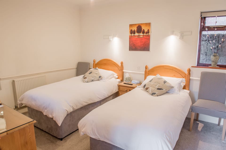Standard Twin Room, 2 Twin Beds, Non Smoking, Microwave | Individually decorated, individually furnished, desk, laptop workspace