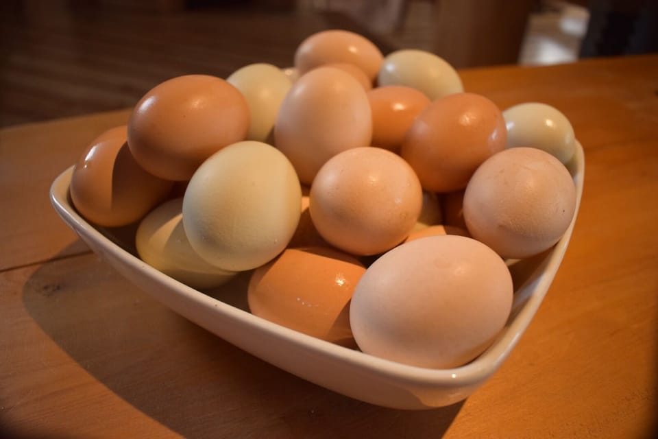 Free daily local cuisine breakfast