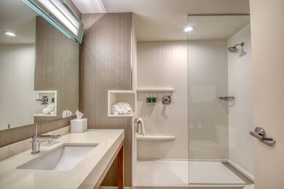Combined shower/tub, free toiletries, hair dryer, towels