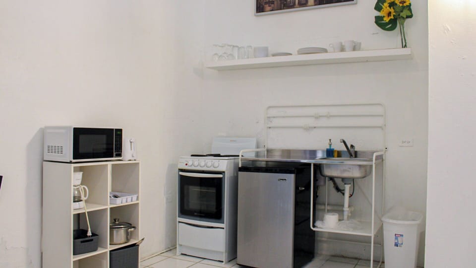 Apartment, 1 Bedroom | Private kitchen | Fridge, microwave, oven, stovetop
