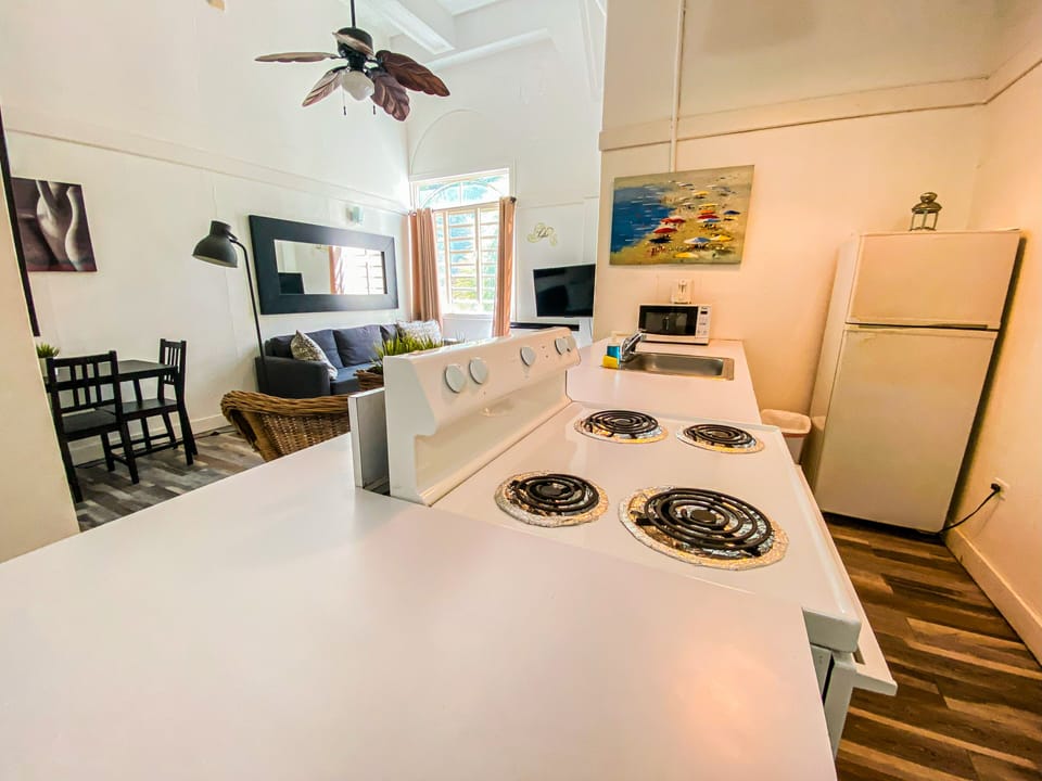 Apartment, 3 Bedrooms | Private kitchen | Fridge, microwave, oven, stovetop