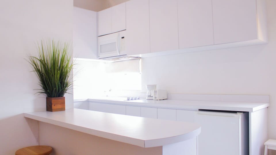 Fridge, microwave, stovetop, coffee/tea maker