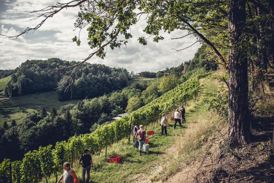 Winery