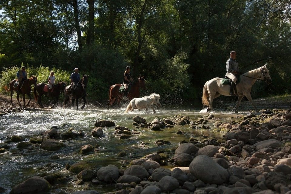 Horseback riding