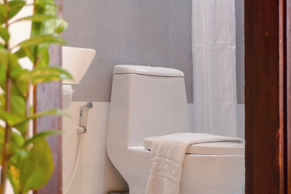 Lakeview Double | Bathroom | Shower, free toiletries, bidet, towels