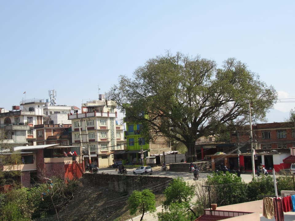 View from room