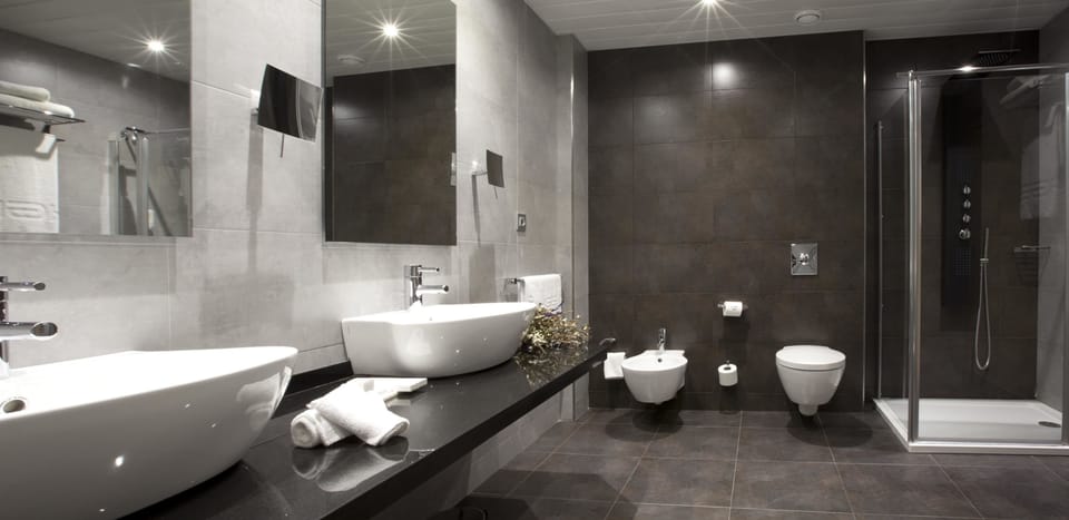 Hair dryer, bidet, towels
