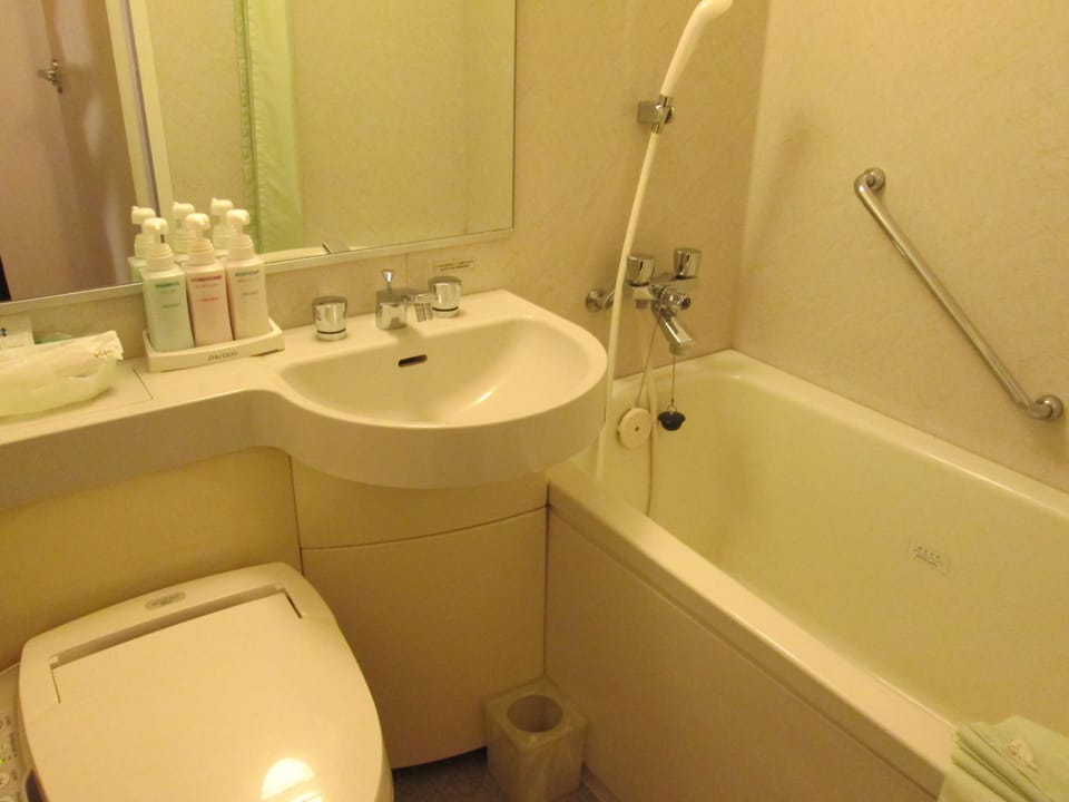 Combined shower/tub, free toiletries, hair dryer, slippers