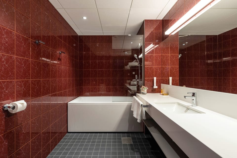 Hair dryer, towels, soap, shampoo
