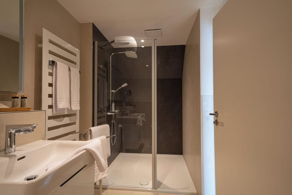 Junior Suite | Bathroom | Shower, free toiletries, hair dryer, towels