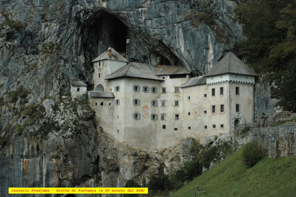 Ecotours
