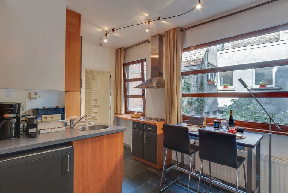 City Apartment | Private kitchen | Fridge, microwave, stovetop, dishwasher