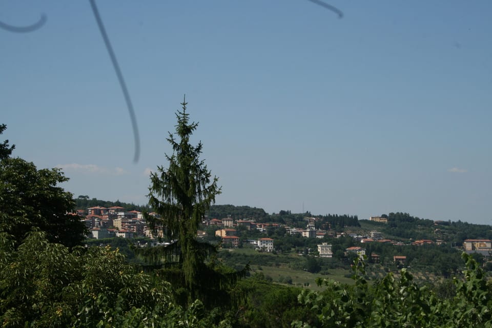 City view from property