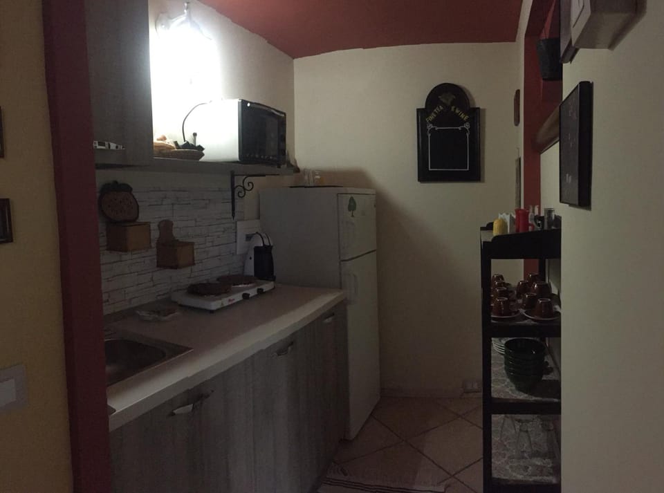 Basic Apartment, 1 Bedroom, Non Smoking, Courtyard View | Private kitchen