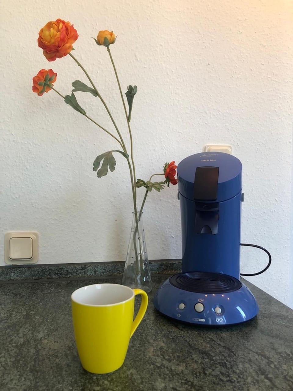 Oven, stovetop, dishwasher, espresso maker