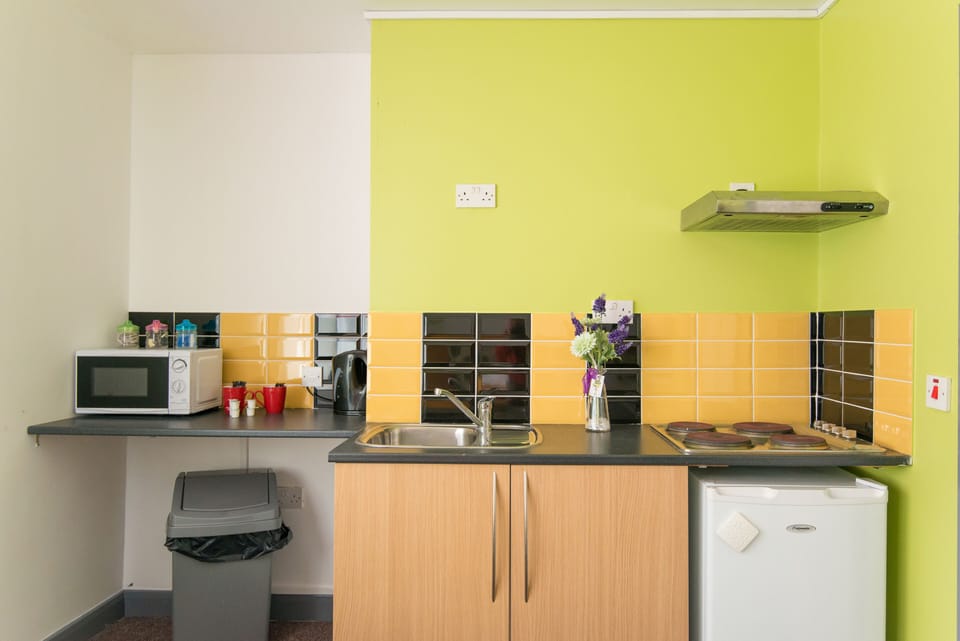 Deluxe Studio, Multiple Beds | Private kitchenette | Fridge, microwave, stovetop, electric kettle