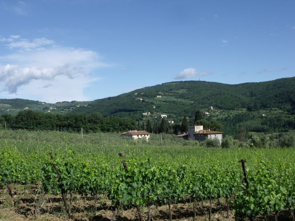 Mountain view