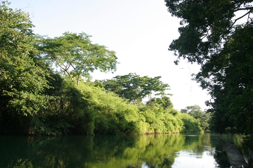 Land view from property