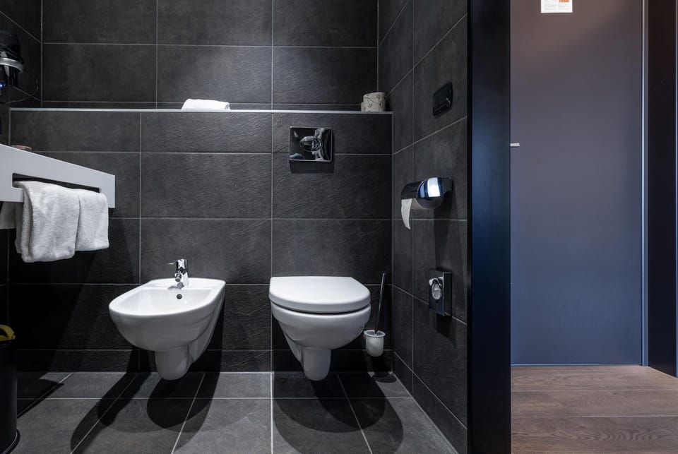 Shower, hair dryer, bathrobes, bidet