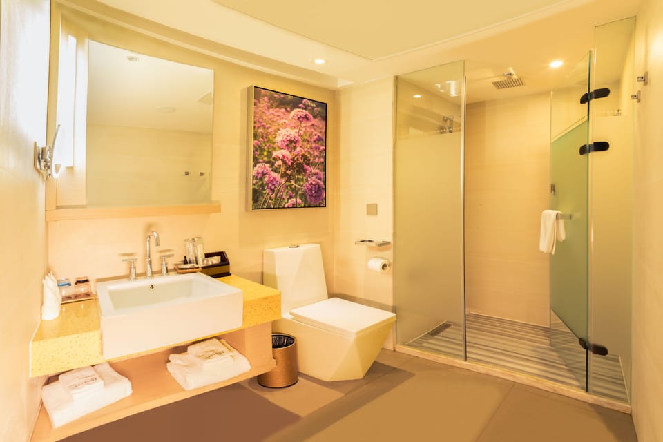 Business Double Room | Bathroom | Shower, free toiletries, hair dryer, slippers