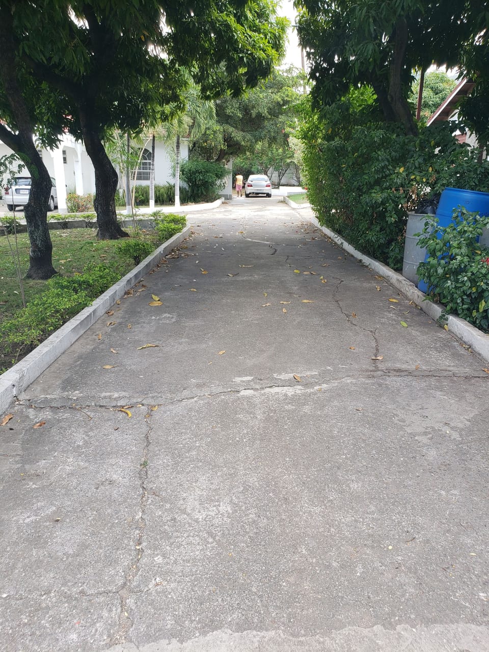 Free self parking