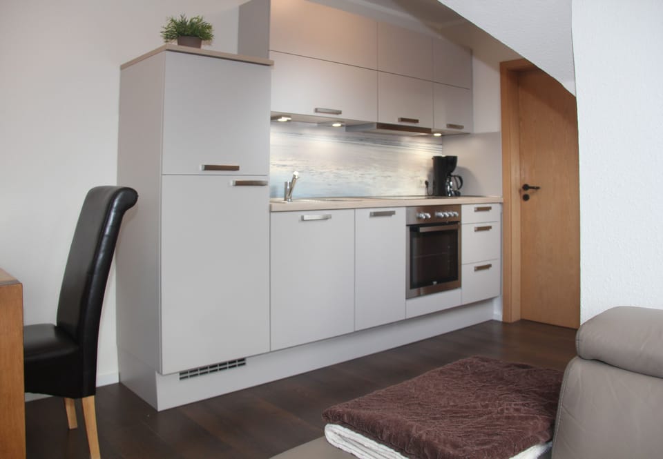Apartment (incl. end cleaning fee €91) | Private kitchen | Fridge, microwave, oven, stovetop
