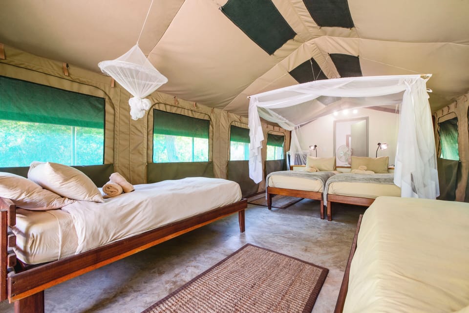 Luxury Tent, Multiple Beds | Premium bedding, in-room safe, laptop workspace, individually decorated