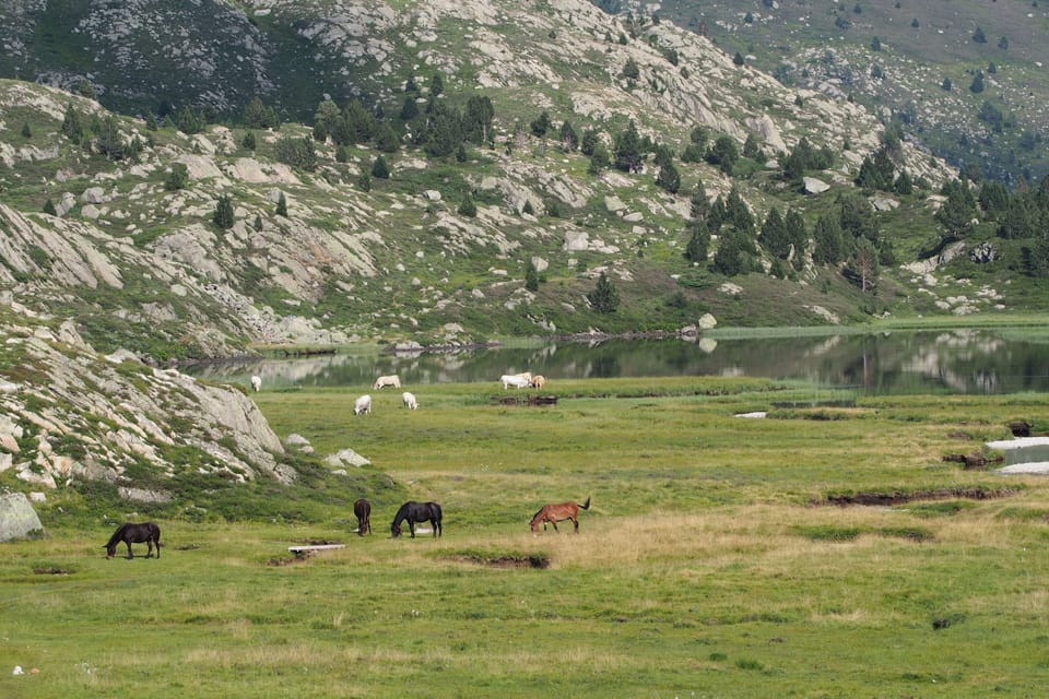 Refuge des étangs de Bassiès - Hostel Hostel in Occitanie